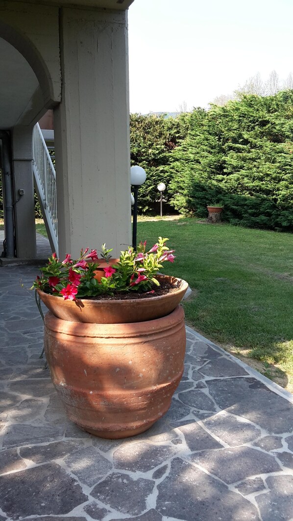 Terrein van de accommodatie