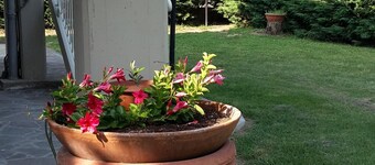 A VALE OF HOUSE - for rural holiday accommodation