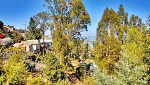 A residential area with houses surrounded by dense vegetation and trees. - Marbella Lane Eco Friendly Treehouse SFO (Brisbane)
