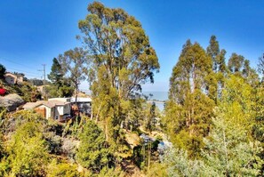 Interior - Marbella Lane Eco Friendly Treehouse SFO (Brisbane)