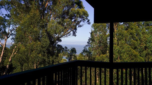 Exterior detail - Marbella Lane Eco Friendly Treehouse SFO (Brisbane)