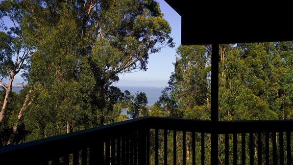 Exterior detail - Marbella Lane Eco Friendly Treehouse SFO (Brisbane)