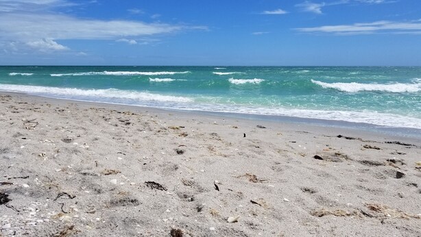 A beach with a clear sky and calm sea.