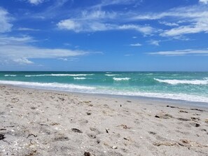 A beach with a clear sky and calm sea.
