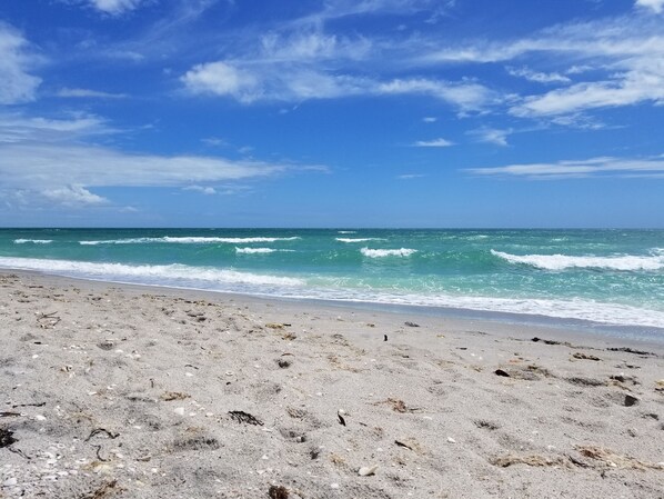 Sun-loungers, beach towels