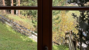 Janela com vista para uma área arborizada, um deck de madeira e uma montanha ao fundo.
