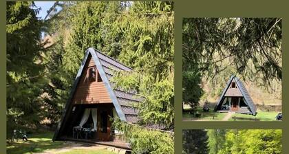 Holiday house Lautenthal for 1 - 4 persons with 2 bedrooms - Holiday home