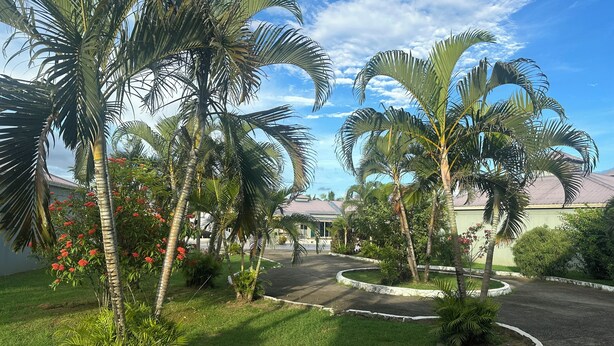 A landscaped area with palm trees and a curved driveway. - Fun World Plaza Hotel (Nadi)