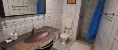 Un baño con lavamanos, inodoro y ducha.
