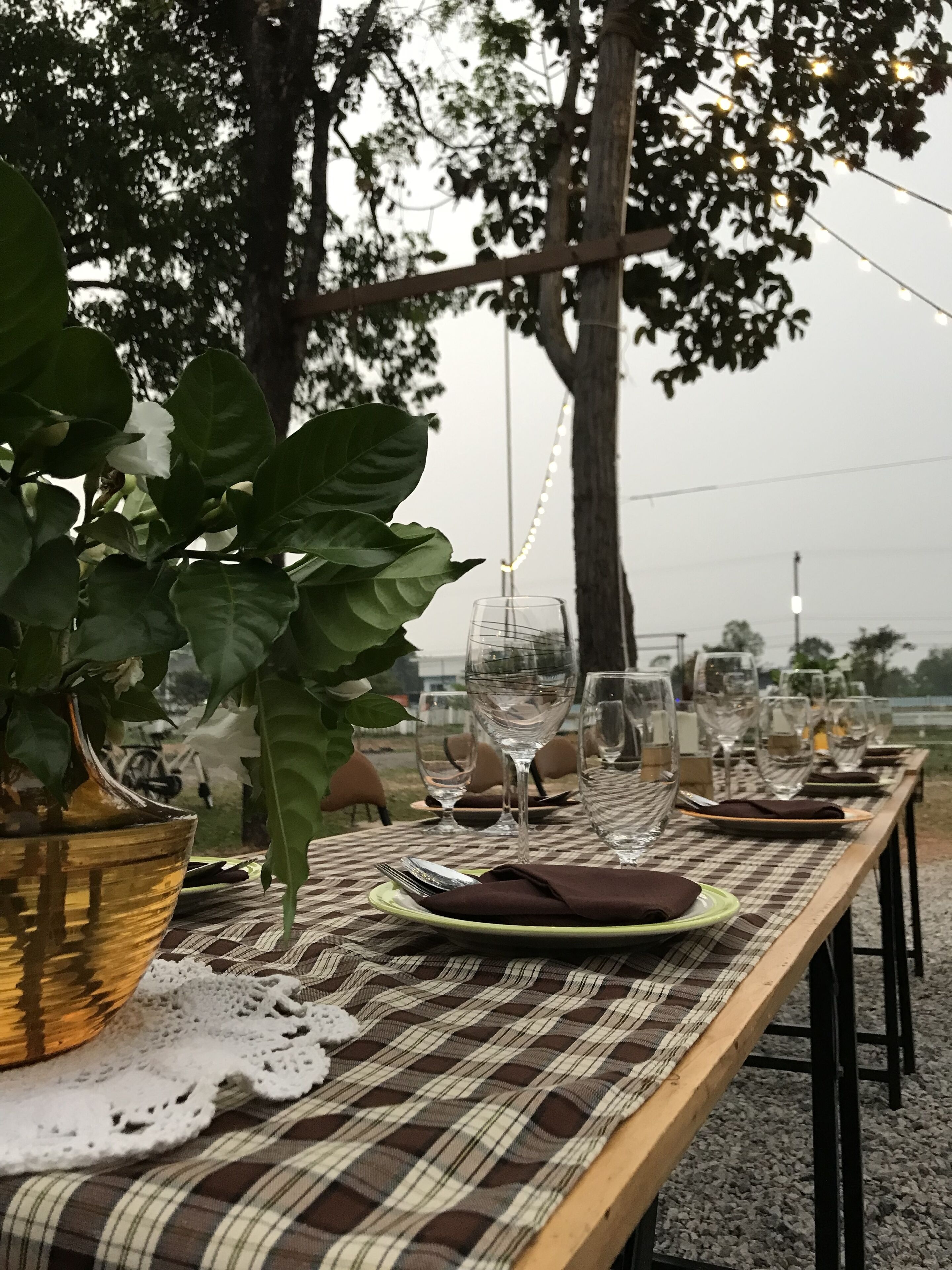 An outdoor dining table set with plates, glasses, and cutlery, surrounded by trees and string lights.