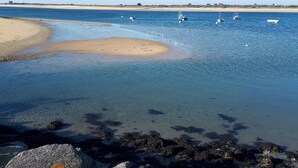 A coastal scene with clear water, a sandy beach, and rocks in the foreground. -  MORBIHAN - SPLENDID VIEW ON THE RIA AND THE BAR OF ETEL - 15 METERS FROM THE BEACH  (Étel)