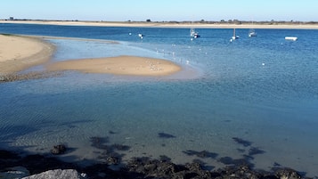 Plage à proximité