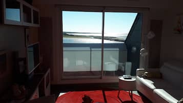 Televisie, een dvd-speler, boeken en een filmbibliotheek