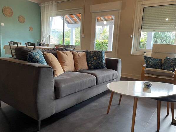 TV, fireplace, books