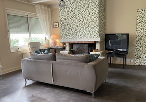 TV, fireplace, books