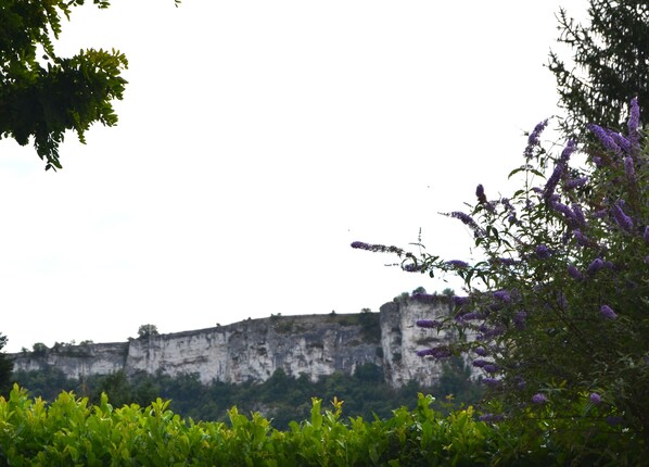 Eine natürliche Landschaft mit einer Klippe und üppigem Grün.