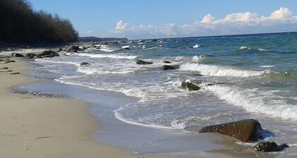 NEW 2018 holiday home exclusively near the beach, sauna, fireplace, free WiFi, garden