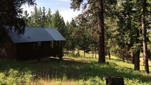 A rustic cabin with a metal roof, surrounded by dense forest and tall trees. - SWAN VALLEY BUNKBED EFFICIENCY IN CONDON (Condon)