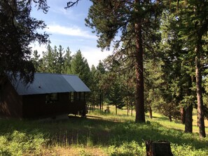 A rustic cabin with a metal roof, surrounded by dense forest and tall trees.