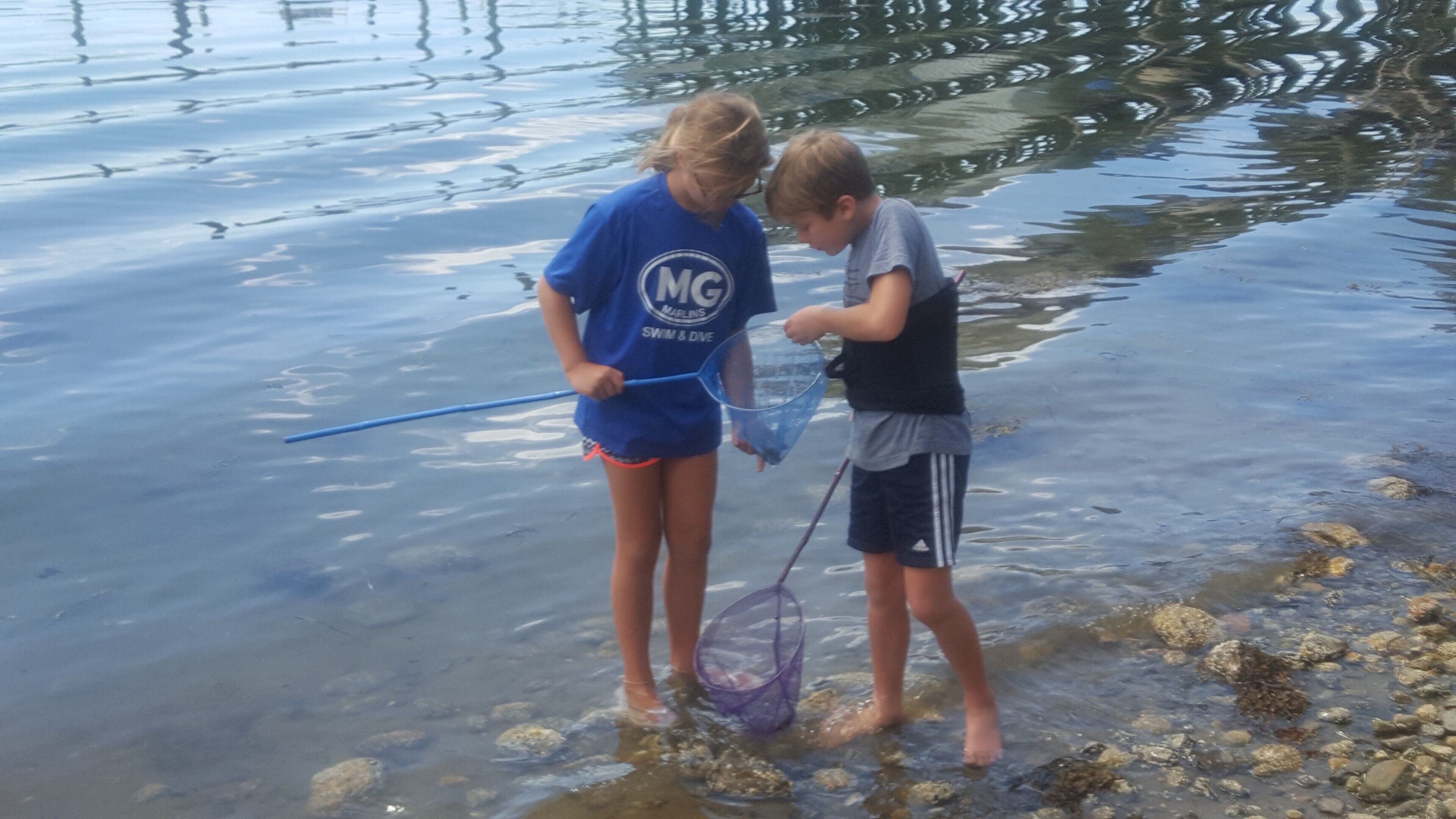 Two individuals standing in shallow water, one holding a net.