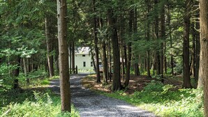 A gravel path through a forest with tall trees and a house in the background. - Montgomery Run cabin located in a secluded wooded area close to Clearfield, PA (Clearfield)