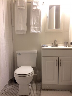 A small bathroom with a white toilet, a sink with a mirror above it, and two towels hanging on the wall. - Location, Convenience and Charm by Capitol Hill FREE Parking Included (Washington)