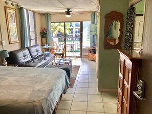 Smart TV, lettore DVD, libri, biblioteca musicale