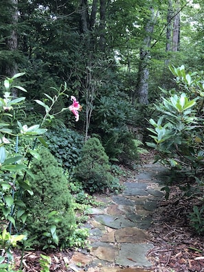 Property grounds - Freshly Decorated, 1.5 miles to downtown Highlands w/ views of Mount Satulah! (Highlands)