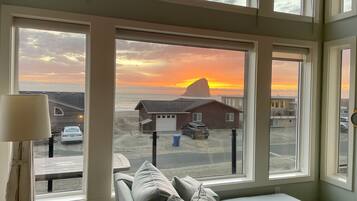 TV connectée, cheminée, lecteur de DVD, livres