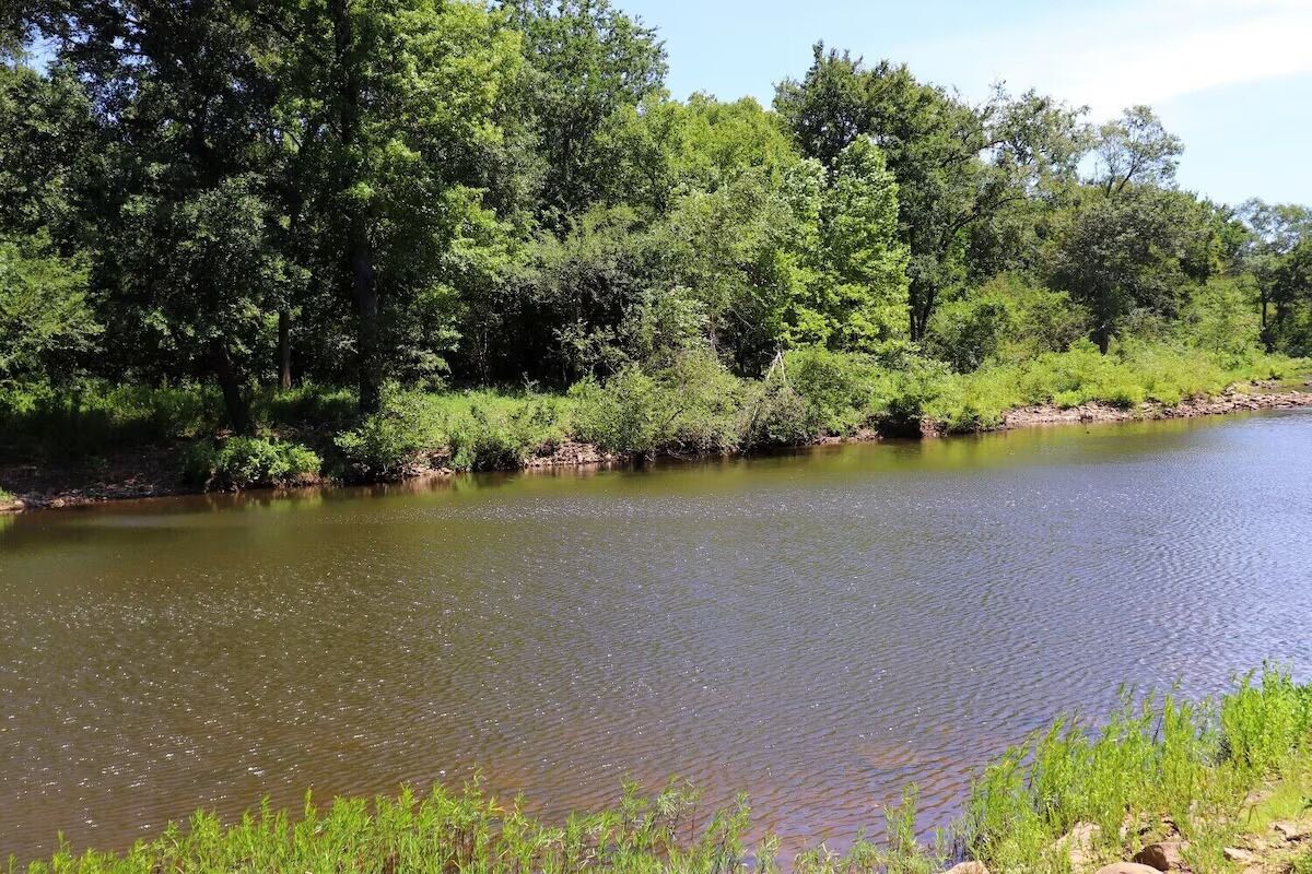 Un río tranquilo rodeado de abundante vegetación y árboles.