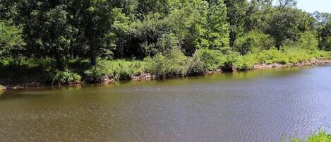 Un río tranquilo rodeado de abundante vegetación y árboles.