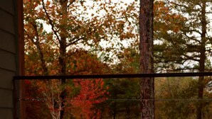 A hot tub with a view of a forested area through a window.