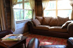 TV, fireplace, books