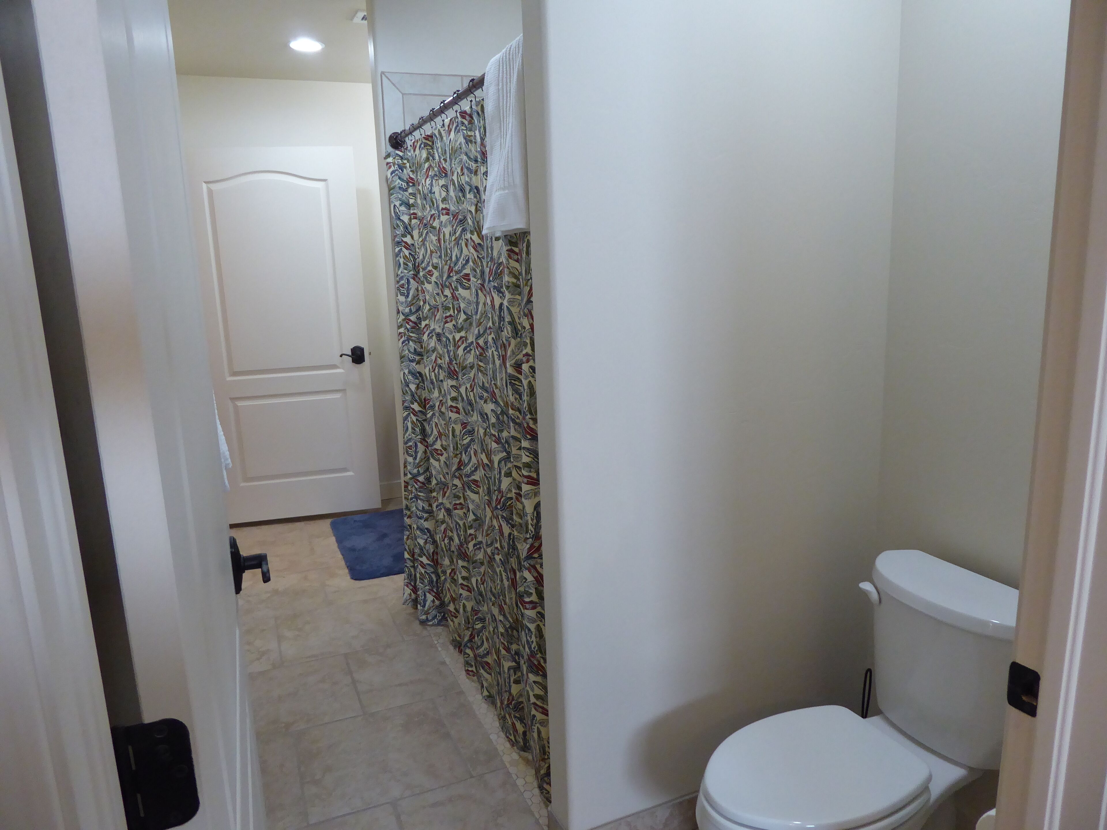A bathroom with a toilet, a shower curtain with a leaf pattern, and a blue mat on the floor.