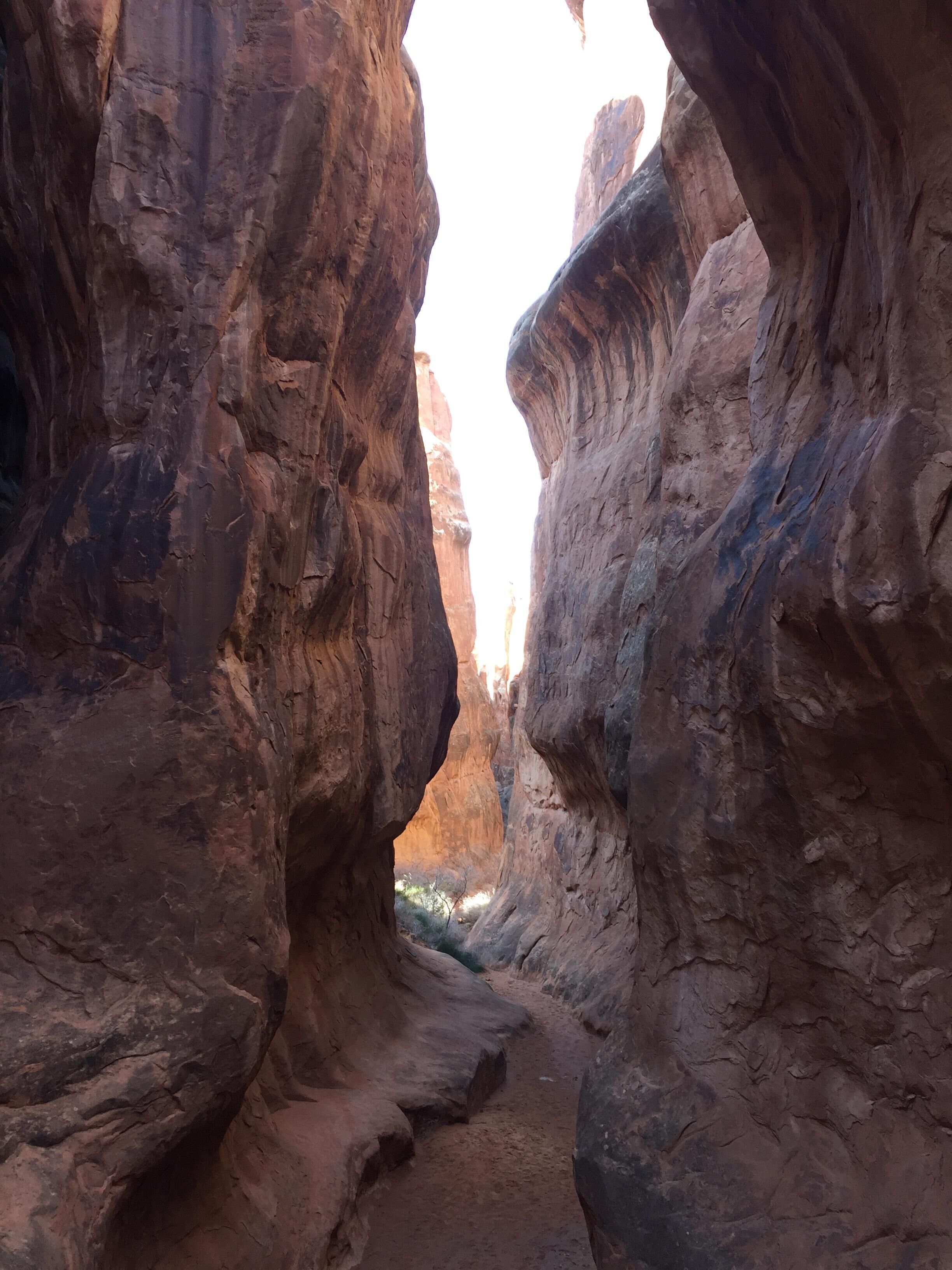 A narrow canyon with rocky walls and a dirt path.