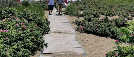 Ranta lähistöllä, aurinkotuoleja