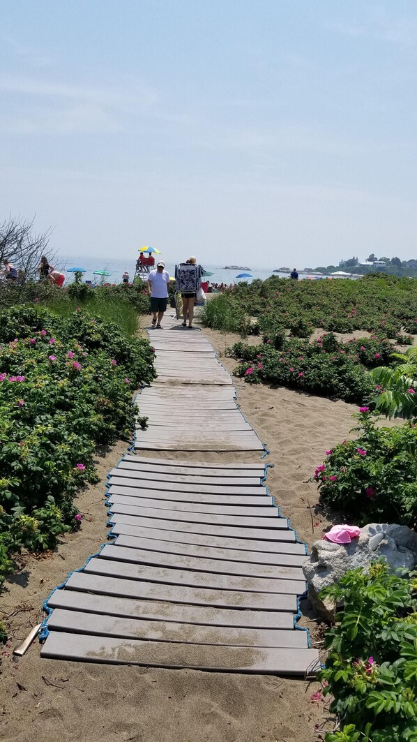 Playa en los alrededores y camastros 