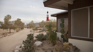 A desert landscape with cacti and a building with a window and a hanging red object. - Midcentury Desert Escape (Twentynine Palms)
