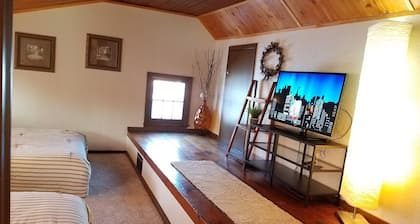 Acogedor 2B / 1. 5B cabaña 2. 0 millas del centro de Minneapolis