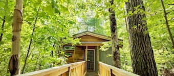 Dove Treehouse Getaway w/ Hot Tub & Firepit!