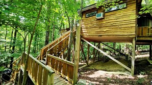 Una casetta sugli alberi in legno con una scala che vi conduce, immersa in una foresta.