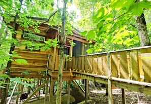 Exterior - Dove Treehouse: Treetop Bliss on Monteagle (Monteagle)