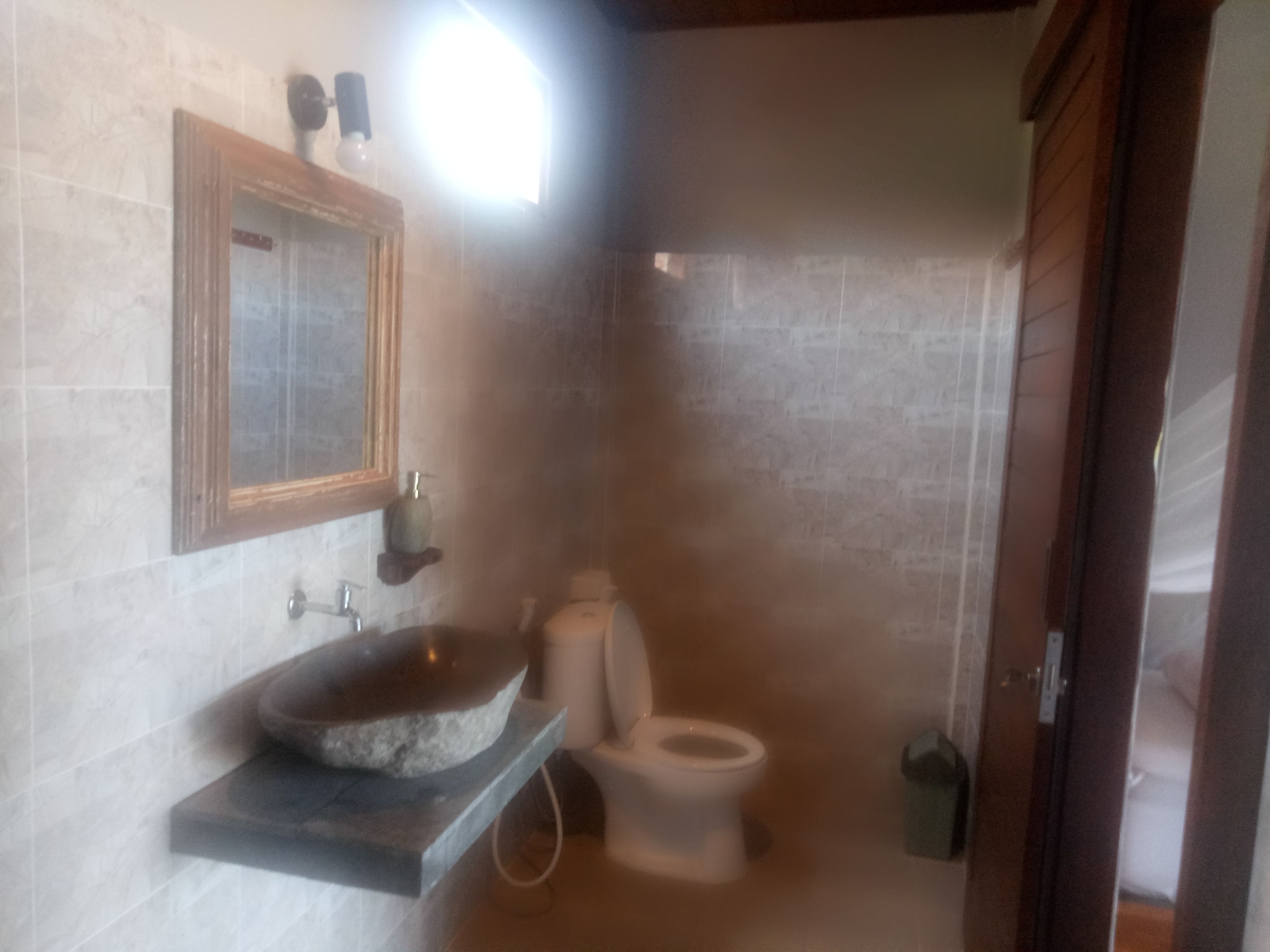 Une salle de bain avec un lavabo en pierre, des toilettes et un miroir.