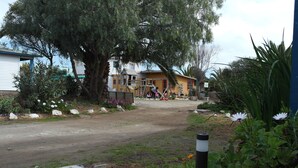 A residential area with a dirt road, a large tree, and a house with a play structure. - Cabañas Los Tamarugos (Los Vilos)