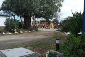 Garden - Cabañas Los Tamarugos (Los Vilos)