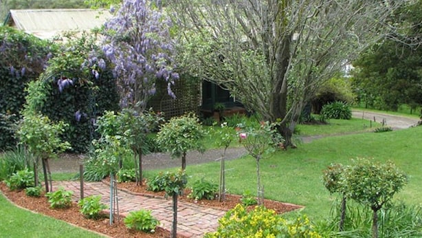 Property grounds - Leafield Cottages (Dixons Creek)