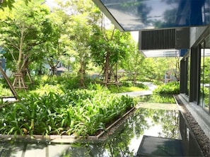 Courtyard view - The Deck Condominium (Patong)