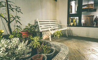 Terraza o patio