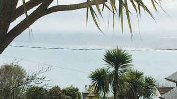 Room, 1 King Bed, Sea View | View from room