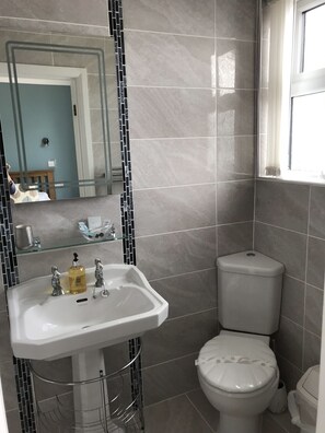 A bathroom with a white sink, a toilet, and a mirror. - Chy an Gwedhen (St Ives)